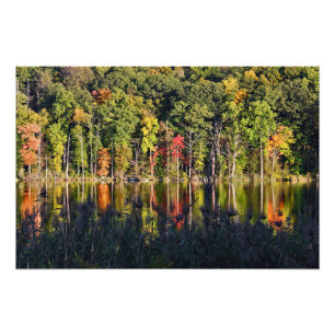 Impression Photo Automne Sur Beardsley Pond