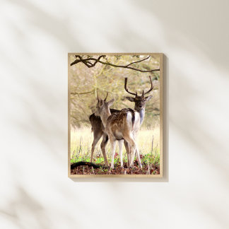 Impression Photo autoriser les cerfs du domaine anglais
