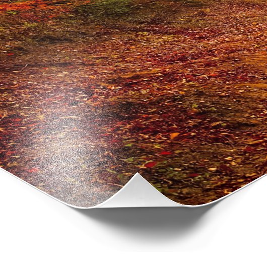 Impression Photo Autumn forest (Coin)