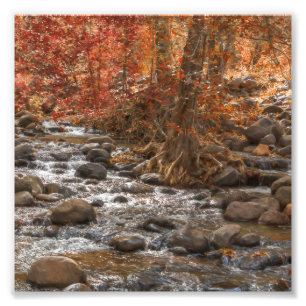 IMPRESSION PHOTO AUTUMN FOREST RIVER SEDONA ARIZONA