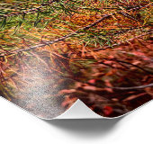 Impression Photo Autumn Pine Needles  (Coin)