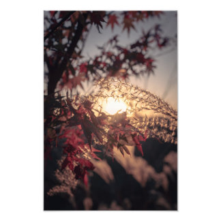 Impression Photo Autumn Scenery in Japan　2023