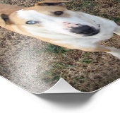 Impression Photo aux yeux bleus et aux yeux bruns (Coin)