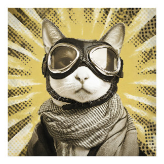 Impression Photo Aviator Cat Goggles Sunburst Portrait