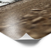 Impression Photo Avion tiltrotor V-22 Osprey (Coin)