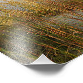 Impression Photo avoine marine (Coin)