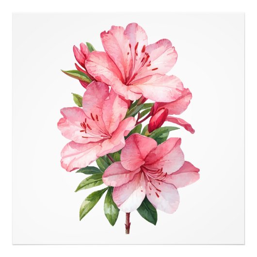 Impression Photo Azalea peinture aquarelle (Devant)