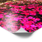 Impression Photo Azaleas Dans Le Parc Forsyth (Coin)