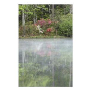 Impression Photo Azalées se reflétant dans un étang au début