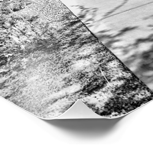 IMPRESSION PHOTO B&W (Coin)