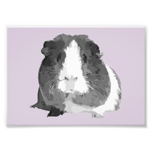 Impression Photo B&W 'Betty' Guinea Pig Print (Cadres disponibles)