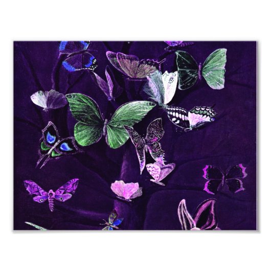 Impression Photo Babflies (Devant)