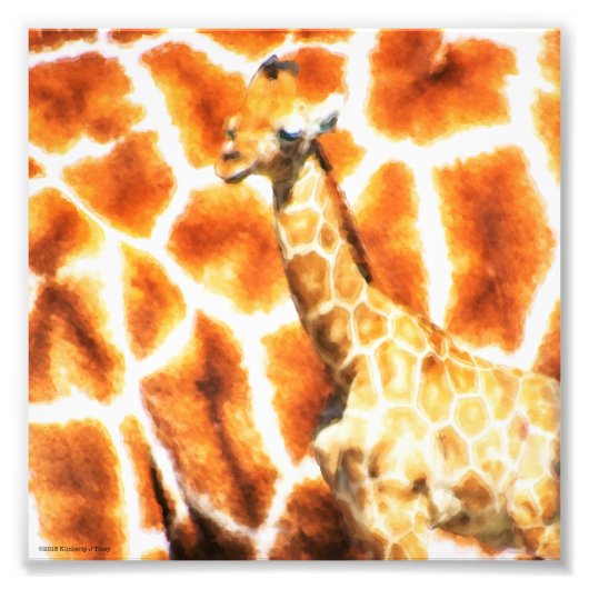 Impression Photo Baby Giraffe (Devant)