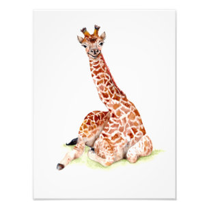 Impression Photo Baby Giraffe