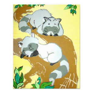 Impression Photo Baby Raccoons Dormir Imprimer