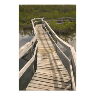 Impression Photo BAHAMAS, Grand Bahama Island, côté est :