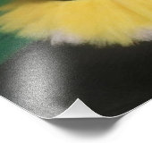 Impression Photo Bailarinas con preciosos colores vivos (Coin)