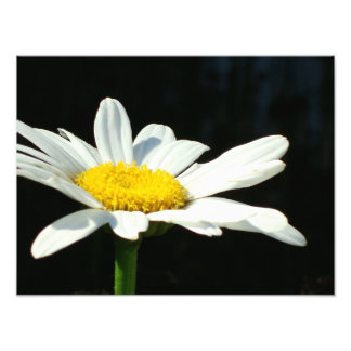 Impression Photo Baise blanche