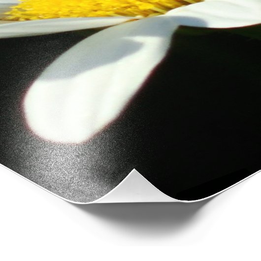 Impression Photo Baise blanche (Coin)