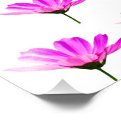 Impression Photo Baise rose (Coin)