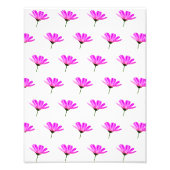 Impression Photo Baise rose (Devant)