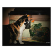 Impression Photo Baiser de bulle (Devant)