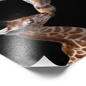 Impression Photo Baisers de girafe imprimé (Coin)