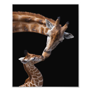 Impression Photo Baisers de girafe imprimé