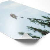 Impression Photo Balbuzard pêcheur 9028 (Coin)