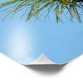 Impression Photo Balbuzard pêcheur dans la nature (Coin)