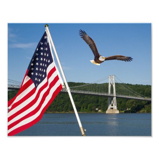 Impression Photo Bald Eagle (American Pride) (Devant)