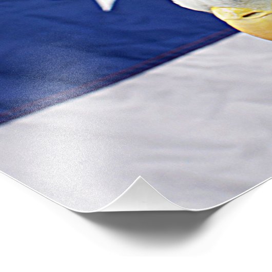 Impression Photo Bald Eagle avec le drapeau américain (Coin)