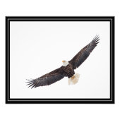 Impression Photo Bald Eagle en vol (Devant)