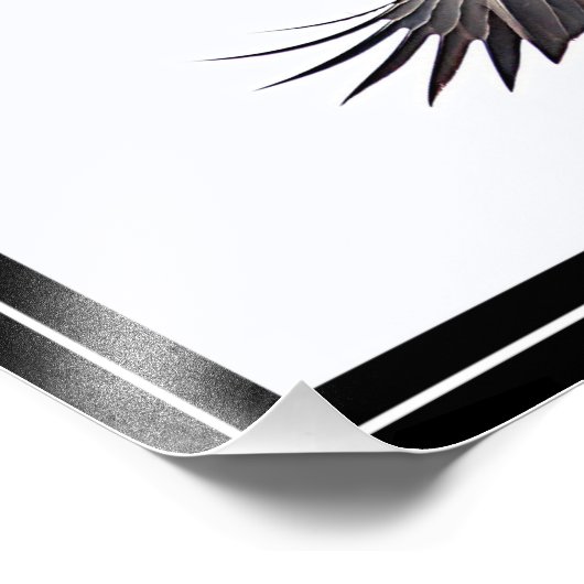 Impression Photo Bald Eagle en vol (Coin)