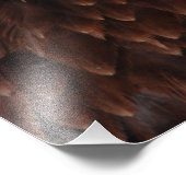 Impression Photo Bald Eagle Screech (Coin)