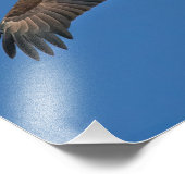 Impression Photo Bald Eagle Sky High (Coin)