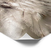 IMPRESSION PHOTO BALD EAGLES (Coin)