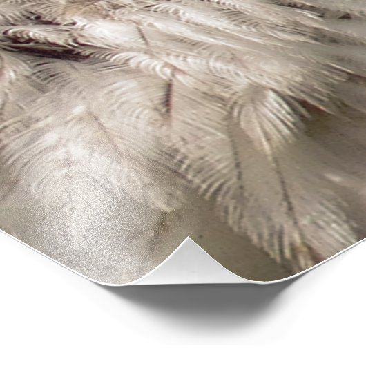 IMPRESSION PHOTO BALD EAGLES (Coin)