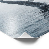 Impression Photo Baleine à bosse (Coin)