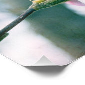 Impression Photo Ballerina Magnolia (Coin)