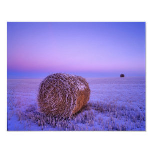 Impression Photo Balles de paille en hiver près de Cartwright Nord