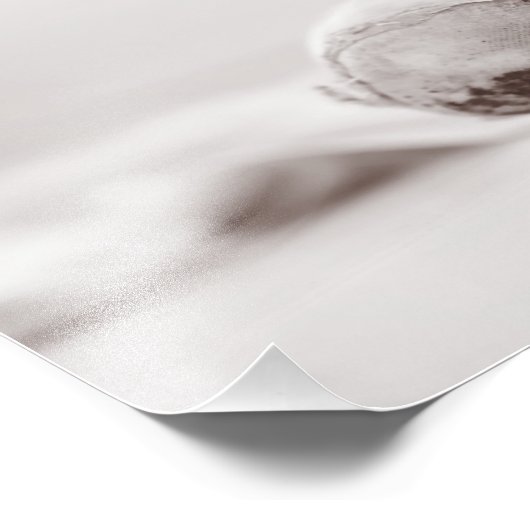 Impression Photo Ballet Pointe Chaussures sur le sol de danse Modèl (Coin)