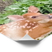 Impression Photo Bambi (Coin)