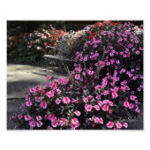 Impression Photo Banc de jardin (Devant)