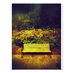 Impression Photo Banc de parc de Forsyth