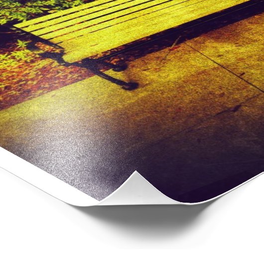 Impression Photo Banc Forsyth Park (Coin)