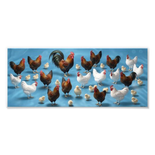 Impression Photo Bande de poussins et de coquelets (Devant)