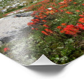 Impression Photo Banner Peak Fleurs sauvages - Ansel Adams Wilderne (Coin)