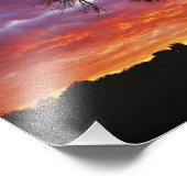 Impression Photo Baobab africain, Adansonia digitata, 2 (Coin)