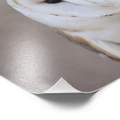 Impression Photo Barn Owl (Coin)